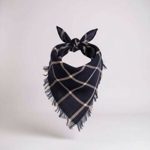 Madewell Plaid Bandana Scarf in Blue Fringed Edge Check Square Kerchief